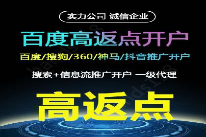 百度竞价广告运营全解析：成功案例揭秘